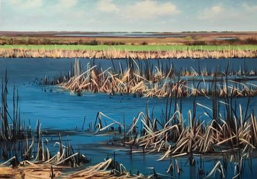 Contemporary art, environment, Nature