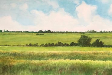 Coastal prairie, Contemporary art, Nature, environment