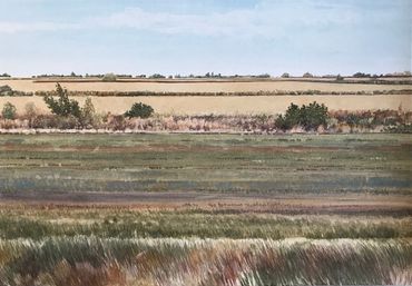 Coastal prairie, contemporary art, Nature, environment