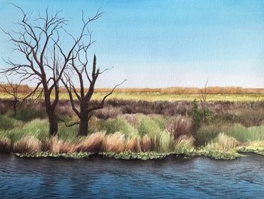 Contemporary art, landscape painting, environment