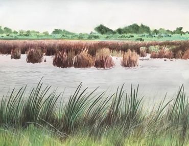 art, Nature, environment