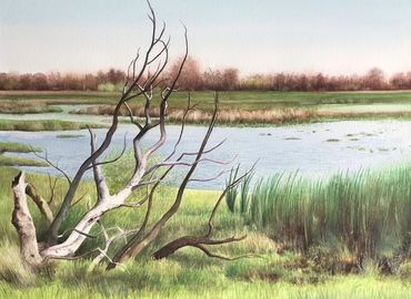 art, Nature, American art, environment, Texas