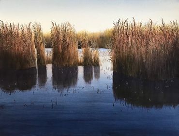 Contemporary art, Nature, environment