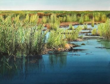 Contemporary art, Nature, environment