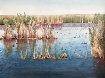 Contemporary art, Nature Environment