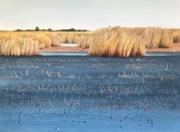 Art, contemporary art, Nature, environment