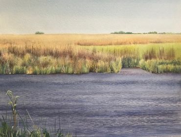 art, contemporary art, Nature, environment