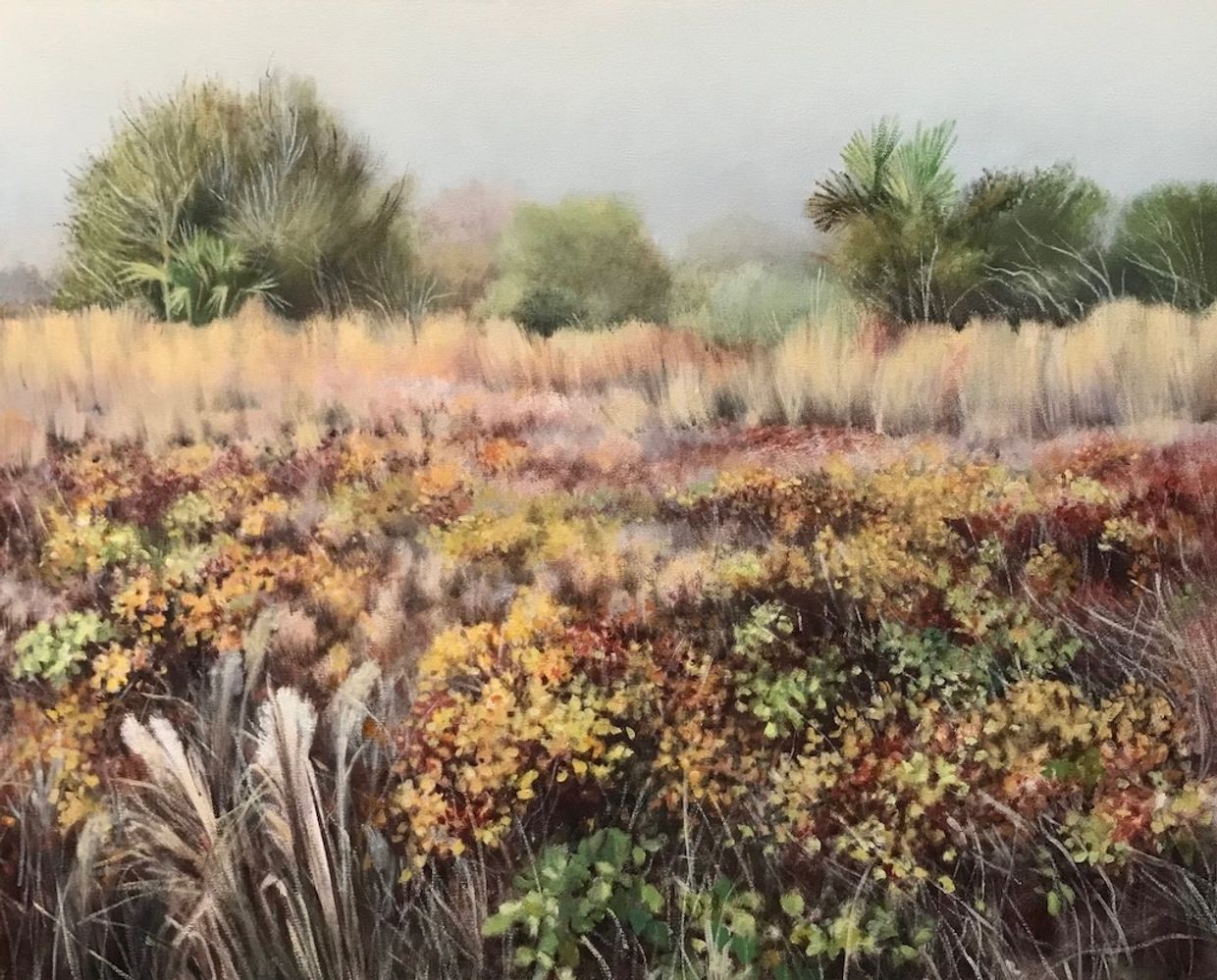 Wetlands, coastal marshes