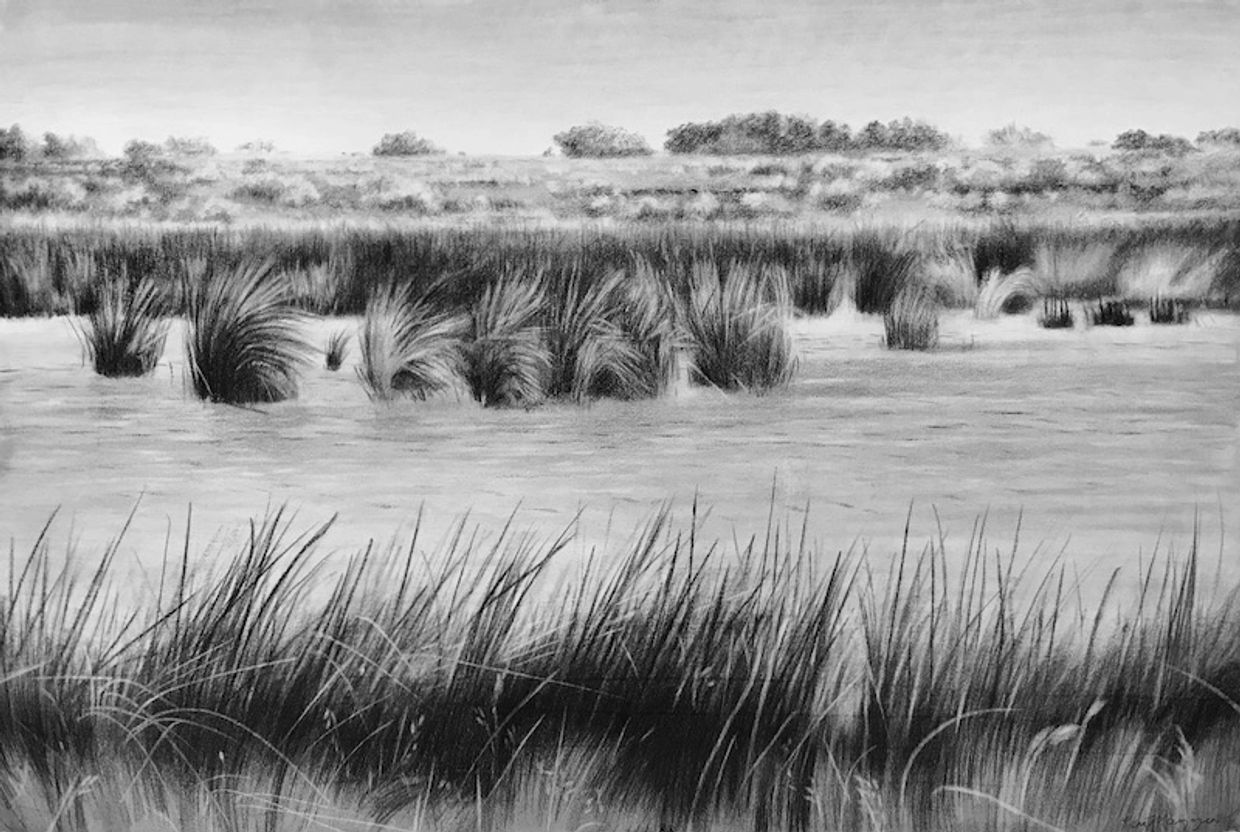 Wetland environment within the Chenier Plain.