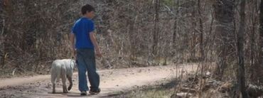 Loose Leash Walking