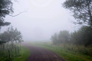 Fog covered driveway