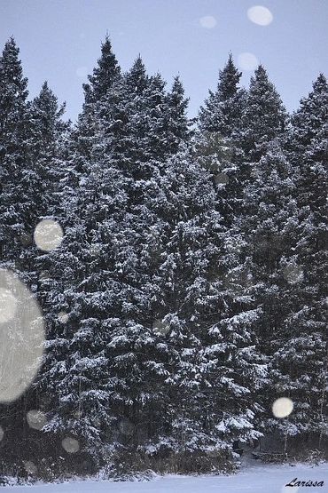 Winter in Minnesota