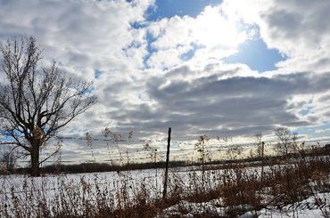 Blue skies and farmland in Minnesota