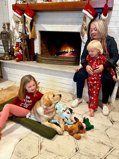 family dogs loving life