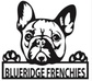 🐾 Blueridge 🐾 🐾 Frenchies  🐾