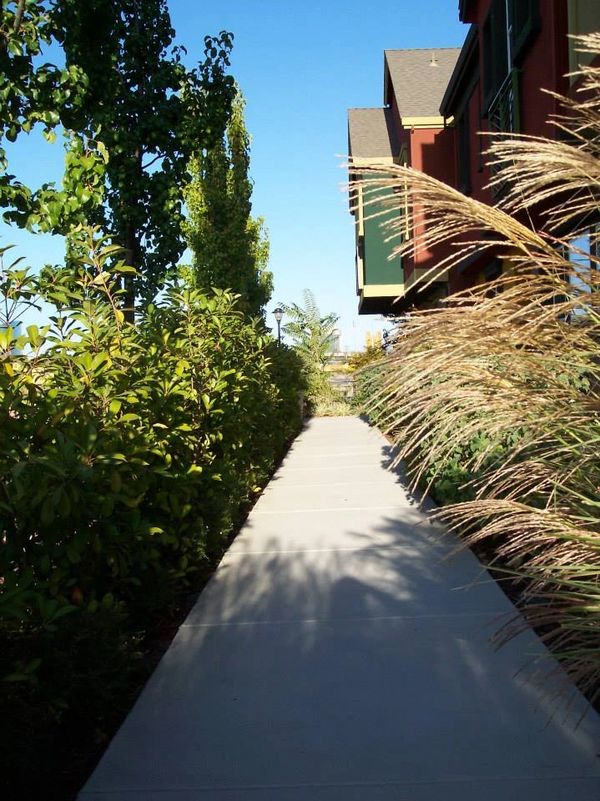 Commercial Landscape Designer