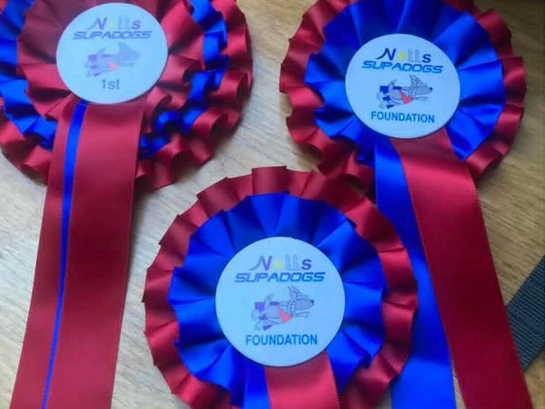 Three red and blue rosettes from Nills Supadogs with 1st and Foundation awards.
