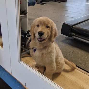 Locke's Personal Fitness in Pittsburgh
