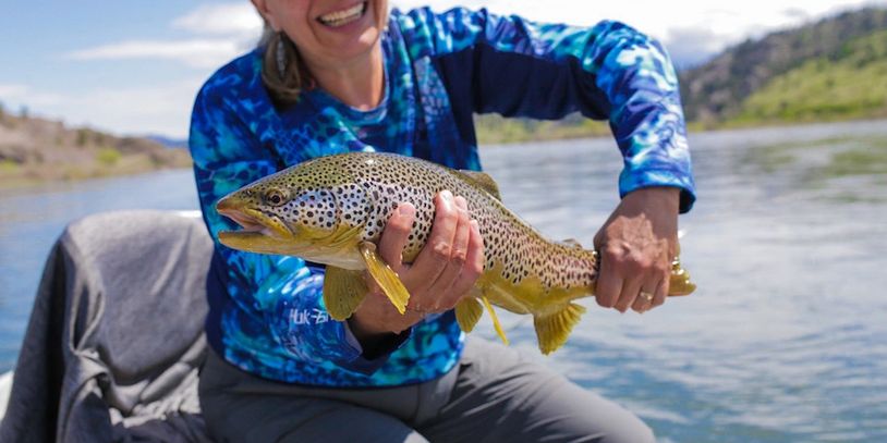 Missouri River Brown Trout