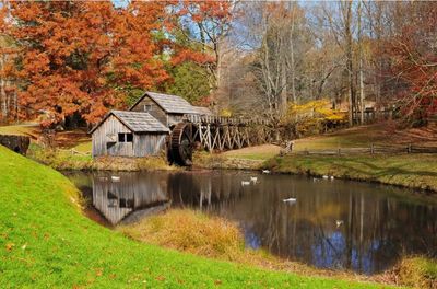 Old wooden watermill by a pond with autumn trees and ducks.