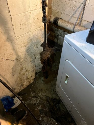 Clogged drain snake covered in debris in a basement laundry area.