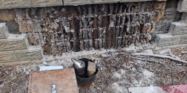 Bee smoker and bucket near a beehive on a stone wall.