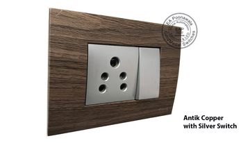 EA Poonawala Antik Copper with SilverSwitch