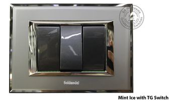 Goldmedal EA Poonawala Mint Ice with TG Switch