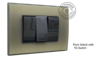 EA Poonawala Plum Island with TG Switch