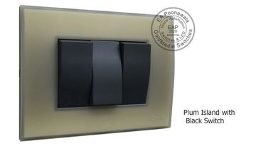 EA Poonawala Plum Island with Black Switch