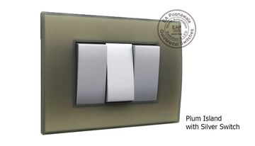 EA Poonawala Plum Island with Silver Switch