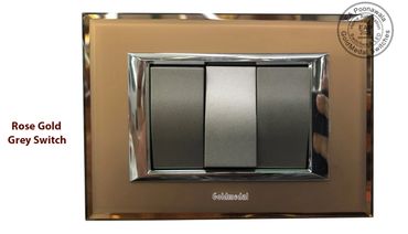 Goldmedal Rose Gold Plate with Grey Switch display at EA Poonawala 95 Lohar Chawl