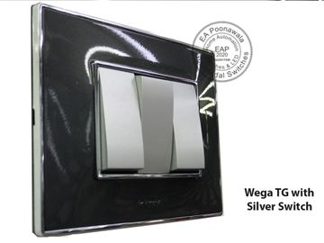 EA Poonawala Wega TG with Silver Switch