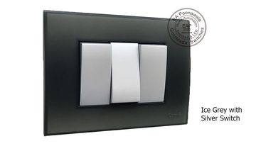 EA Poonawala Ice Grey with Silver Switch