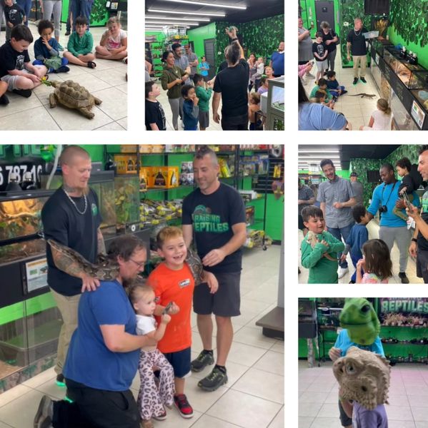 Raising Reptiles