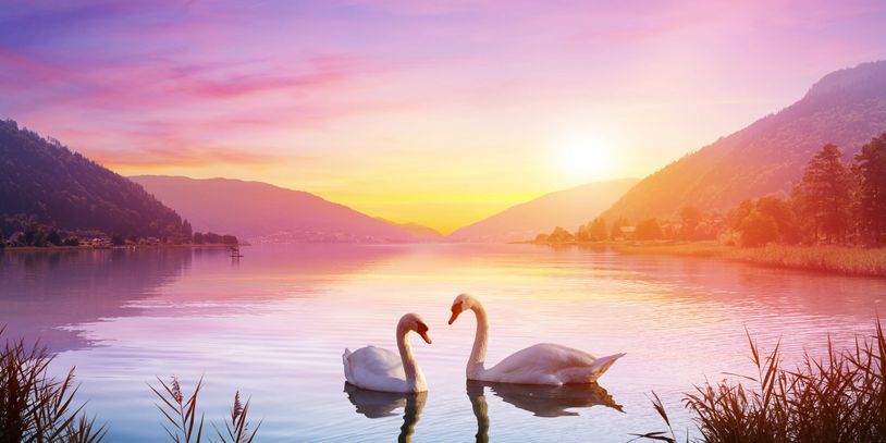 Craniosacral, somatic experiencing, energy healing, remote healing, trauma healing, heal, healing