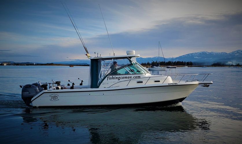 Island Pursuit Sport Fishing 29 foot Pursuit