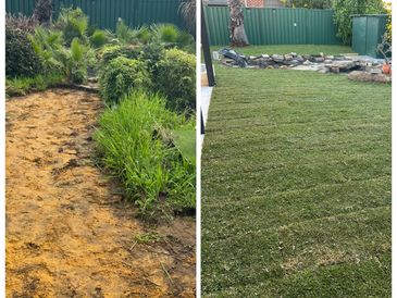 Before and after lawn renovation with new grass.