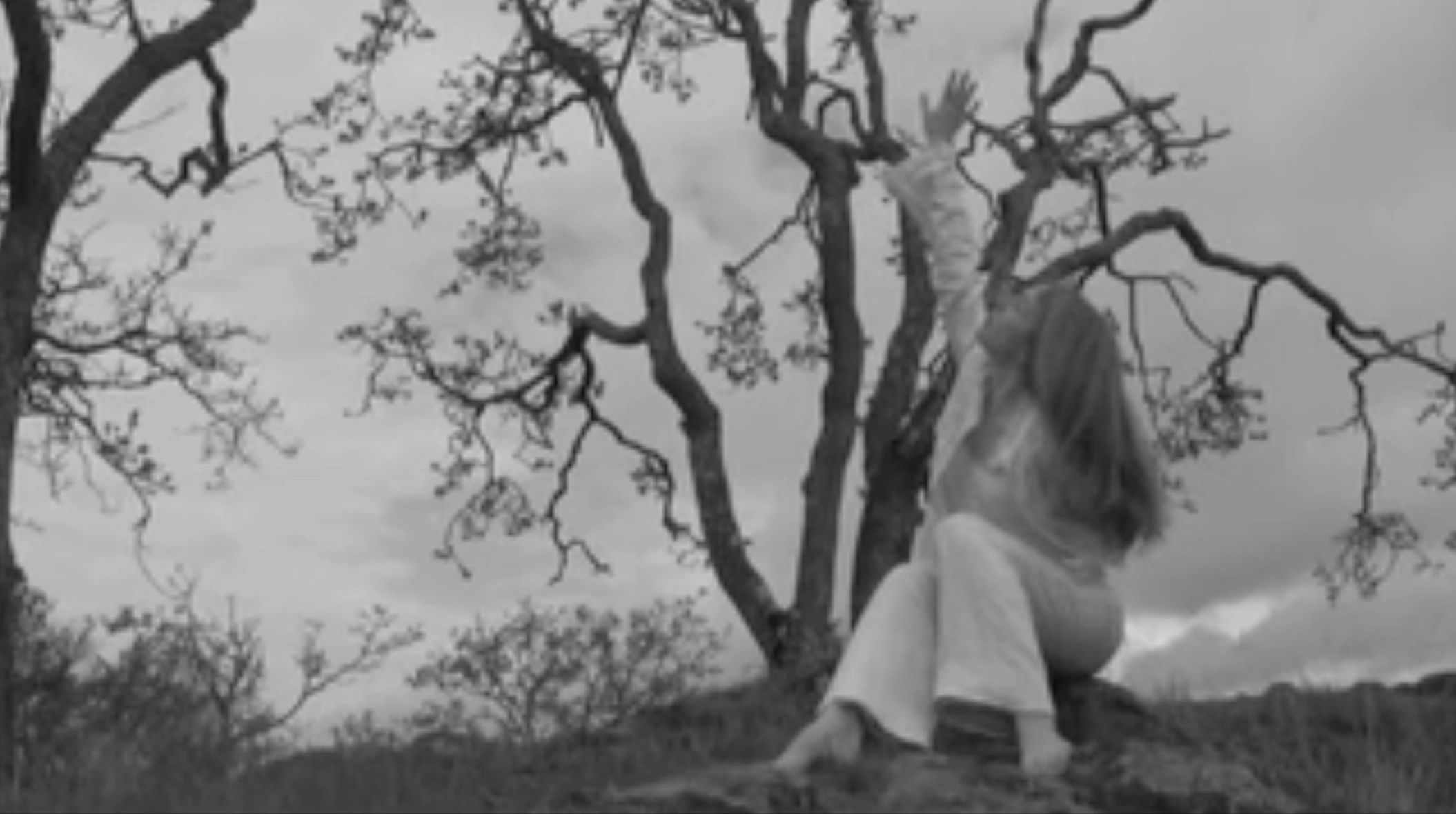 Amy Meyers Obregon (choreographer) & Monique Cartesan (videographer)