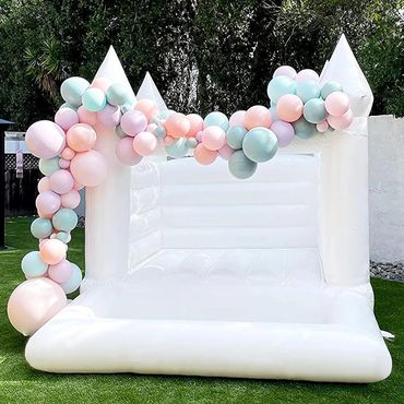 Bounce House Ball Pit Rental