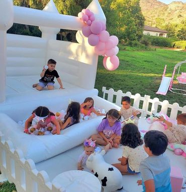 Bounce House Ball Pit Soft Play Fence Rental