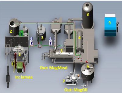 1st Pilot of BSF process in Belgium 2020