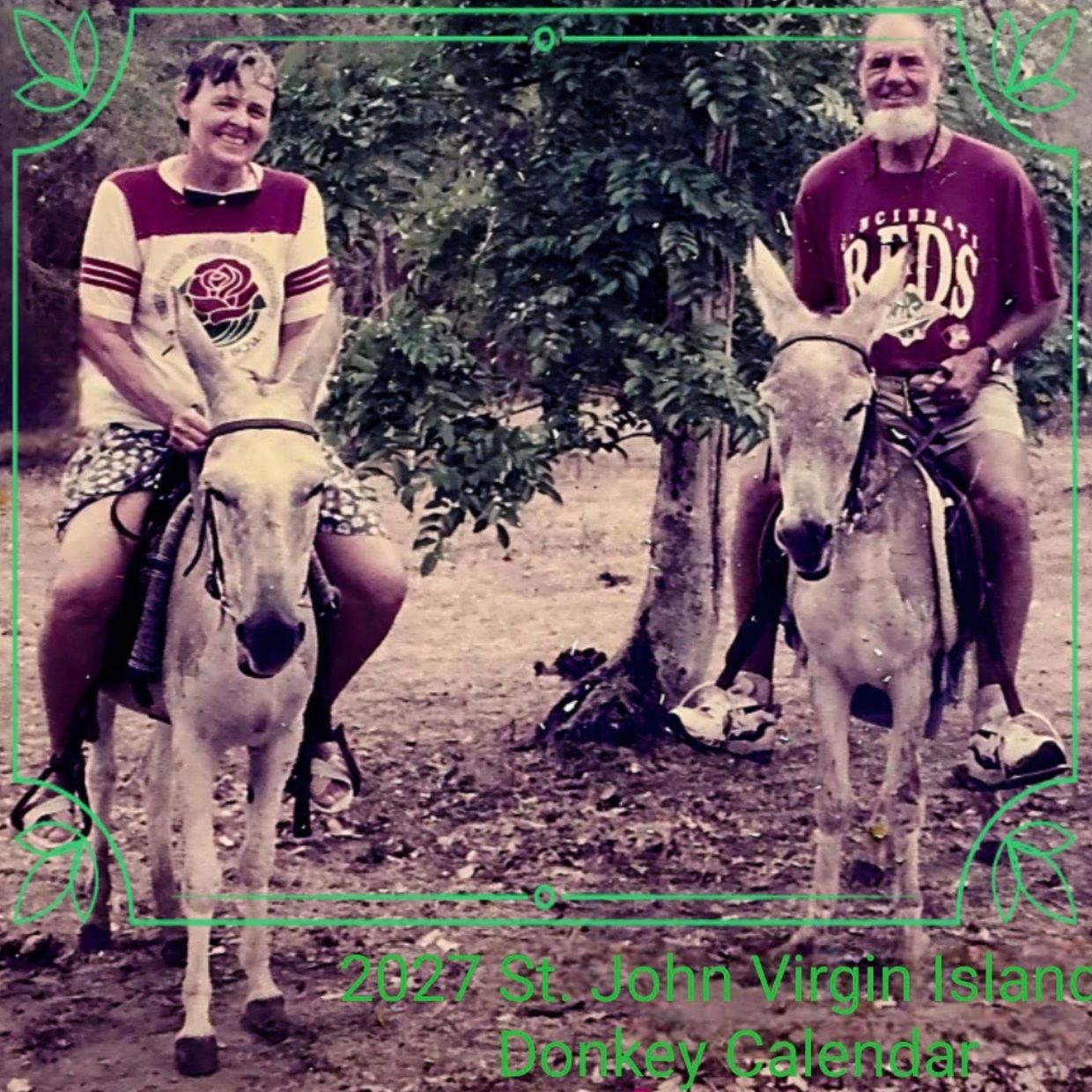 2027 St. John Virgin Islands Donkey Calendar now available!