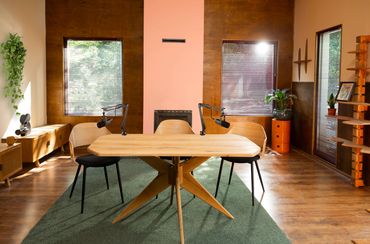 Mobila custom made, 2 microfoane