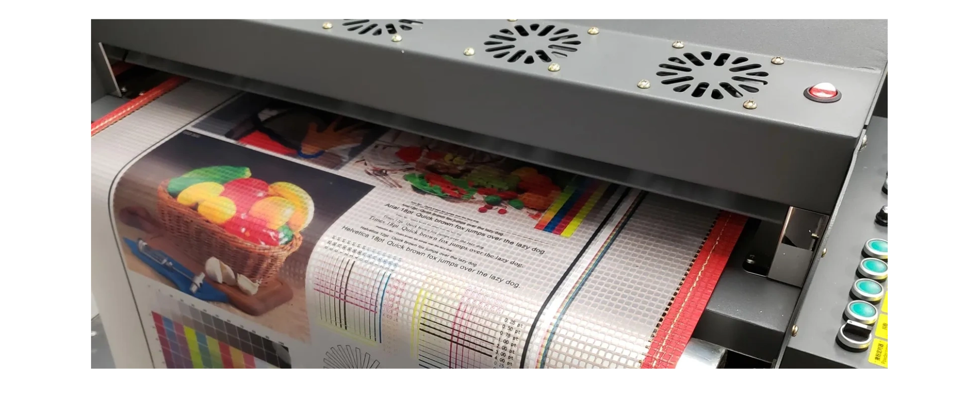 DTF printing example.