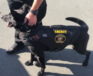 Friends of the Calaveras Sheriff's Office