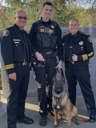 Three uniformed officers with a police dog outdoors.