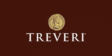 TREVERI logo with ancient coin above on brown background.