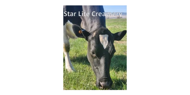 A black and white cow grazing on grass under the text 'Star Lite Creamery'.