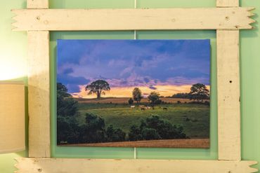 original photography